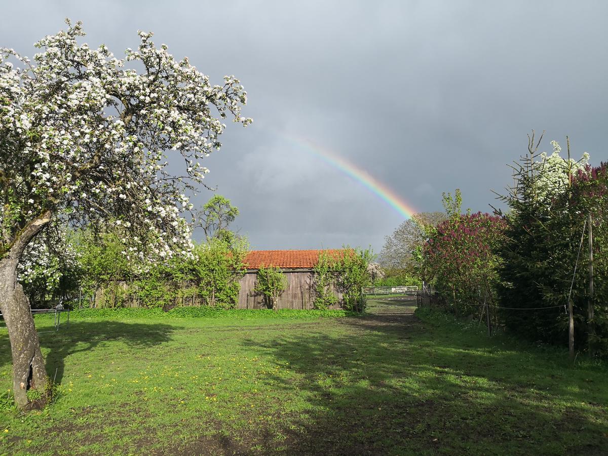 Ferienhaus Am Eisgraben Hausen  Esterno foto